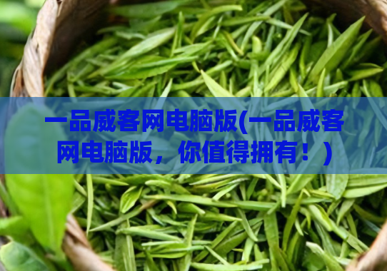 一品威客网电脑版(一品威客网电脑版，你值得拥有！)