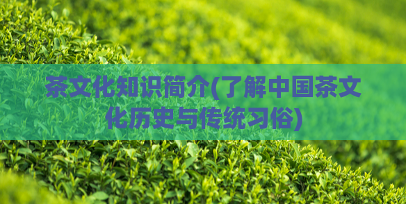 茶文化知识简介(了解中国茶文化历史与传统习俗)