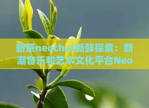 新茶neocha(新鲜探索:新潮音乐和艺术文化平台Neocha)