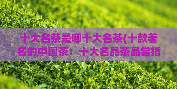十大名茶是哪十大名茶(十款著名的中国茶：十大名品茶品尝指南)