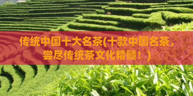 传统中国十大名茶(十款中国名茶，尝尽传统茶文化精髓！)