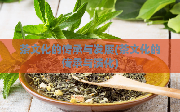 茶文化的传承与发展(茶文化的传承与演化)