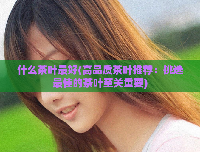 什么茶叶最好(高品质茶叶推荐：挑选最佳的茶叶至关重要)