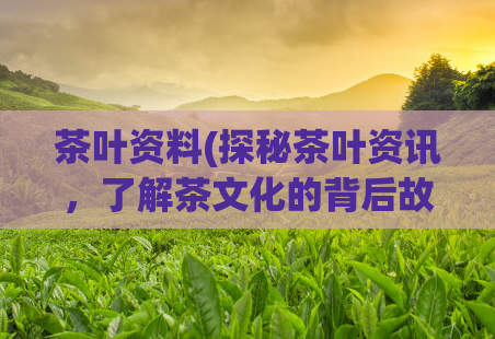 茶叶资料(探秘茶叶资讯，了解茶文化的背后故事)