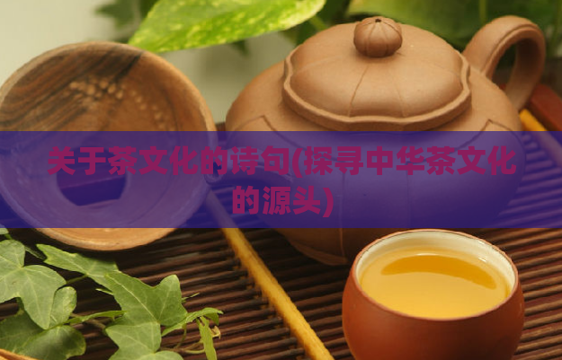 关于茶文化的诗句(探寻中华茶文化的源头)