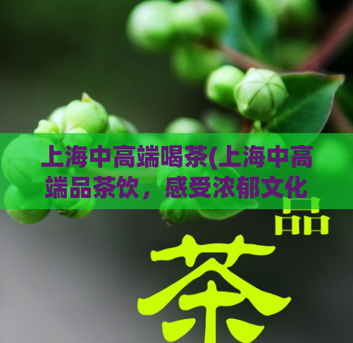 上海中高端喝茶(上海中高端品茶饮，感受浓郁文化气息)