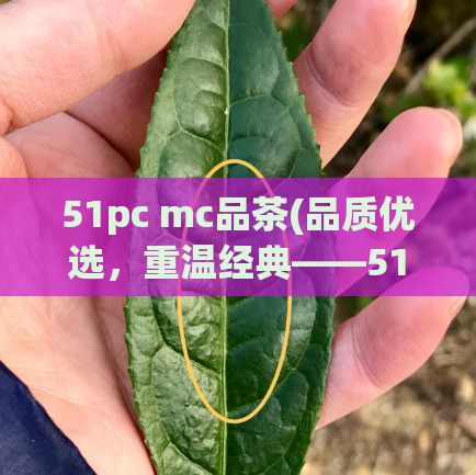 51pc mc品茶(品质优选，重温经典——51PC MC茶叶推荐)