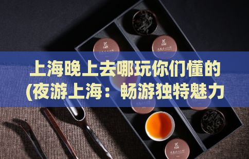 上海晚上去哪玩你们懂的(夜游上海：畅游独特魅力之都)