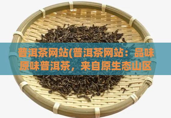 普洱茶网站(普洱茶网站:品味原味普洱茶,来自原生态山区的健康饮品)