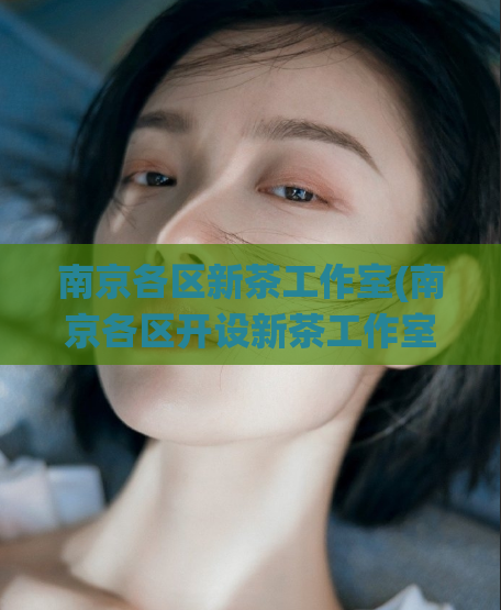 南京各区新茶工作室(南京各区开设新茶工作室 推广传统茶文化)