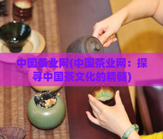 中国茶业网(中国茶业网:探寻中国茶文化的精髓)