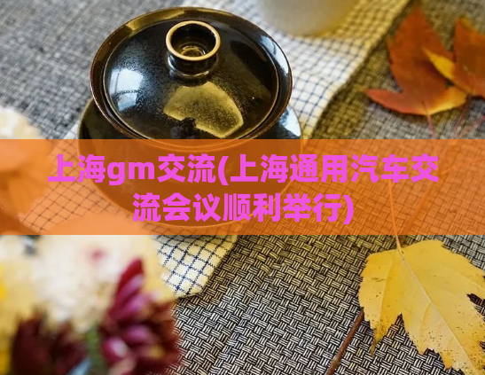 上海gm交流(上海通用汽车交流会议顺利举行)