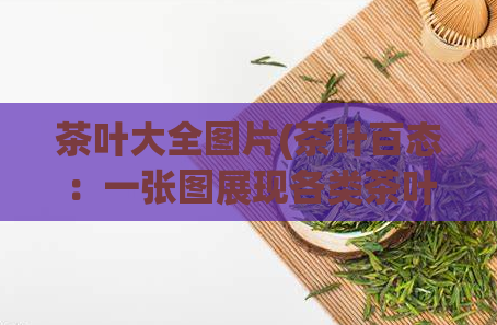 茶叶大全图片(茶叶百态：一张图展现各类茶叶)