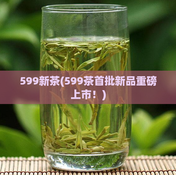 599新茶(599茶首批新品重磅上市！)