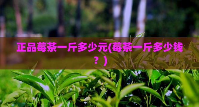 正品莓茶一斤多少元(莓茶一斤多少钱?)