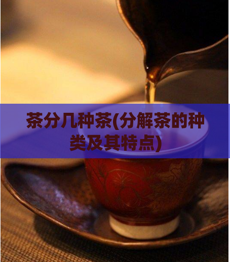 茶分几种茶(分解茶的种类及其特点)