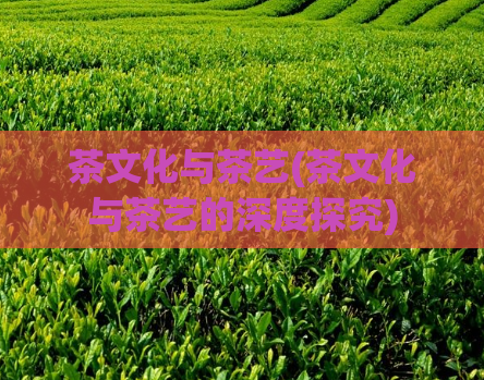 茶文化与茶艺(茶文化与茶艺的深度探究)