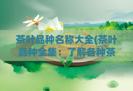茶叶品种名称大全(茶叶品种全集:了解各种茶叶的特点与品味)