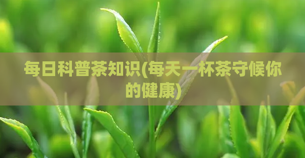 每日科普茶知识(每天一杯茶守候你的健康)