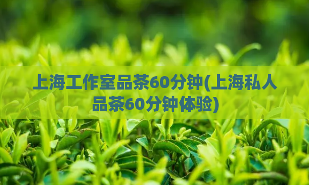 上海工作室品茶60分钟(上海私人品茶60分钟体验)