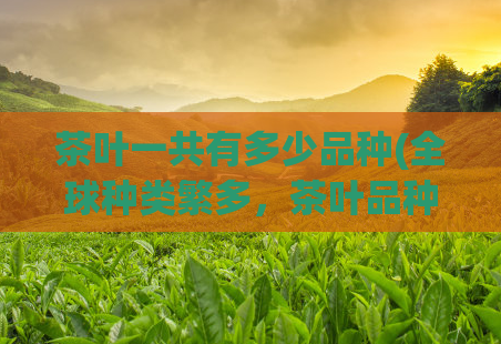 茶叶一共有多少品种(全球种类繁多,茶叶品种还有几百种!)
