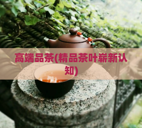 高端品茶(精品茶叶崭新认知)