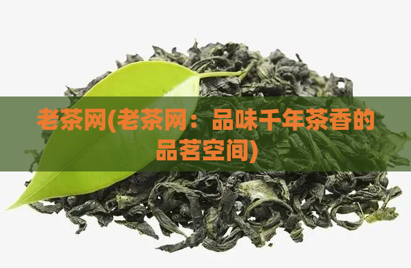 老茶网(老茶网：品味千年茶香的品茗空间)