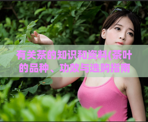 有关茶的知识和资料(茶叶的品种、功效与选购指南)