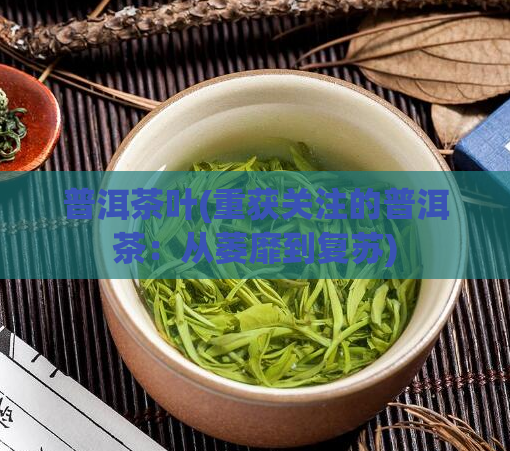 普洱茶叶(重获关注的普洱茶：从萎靡到复苏)