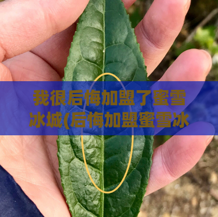 我很后悔加盟了蜜雪冰城(后悔加盟蜜雪冰城,成为加盟者的警醒)