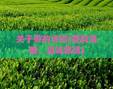 关于茶的诗词(茶韵清幽,品味意境)