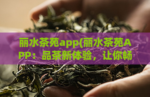 丽水茶苑app(丽水茶苑APP：品茶新体验，让你畅游茶乡)