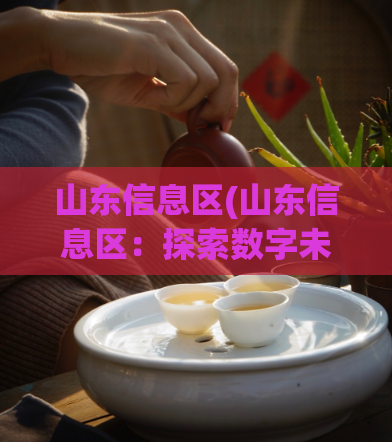 山东信息区(山东信息区：探索数字未来)