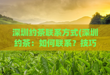 深圳约茶联系方式(深圳约茶：如何联系？技巧)