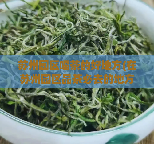 苏州园区喝茶的好地方(在苏州园区品茶必去的地方，推荐几家好去处)