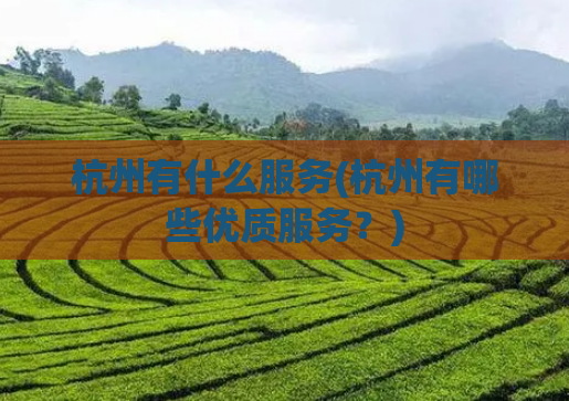 杭州有什么服务(杭州有哪些优质服务？)