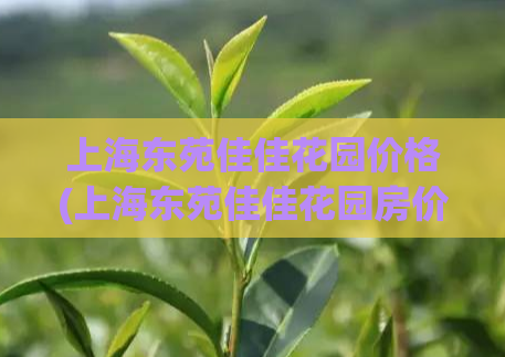 上海东苑佳佳花园价格(上海东苑佳佳花园房价最新情况)