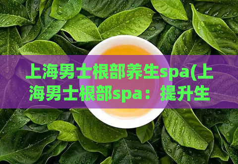 上海男士根部养生spa(上海男士根部spa：提升生命力，注入新能量)