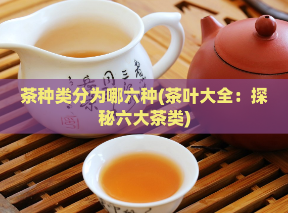 茶种类分为哪六种(茶叶大全：探秘六大茶类)