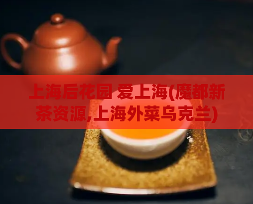 上海后花园 爱上海(魔都新茶资源,上海外菜乌克兰)