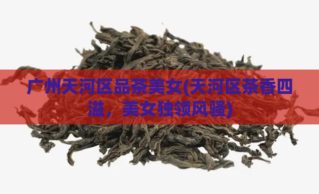 广州天河区品茶美女(天河区茶香四溢，美女独领风骚)
