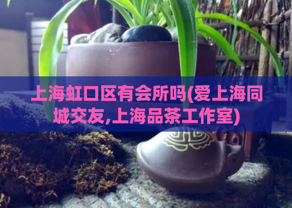 上海虹口区有会所吗(爱上海同城交友,上海品茶工作室)