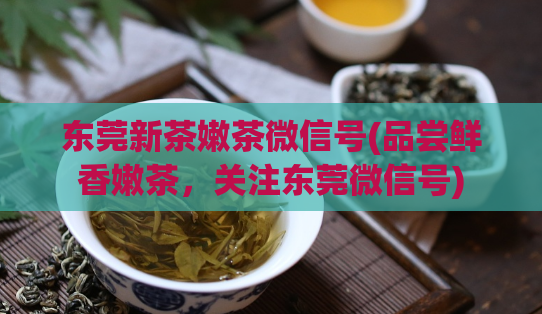 东莞新茶嫩茶微信号(品尝鲜香嫩茶，关注东莞微信号)