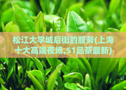 松江大学城后街的服务(上海十大高端夜场,51品茶最新)