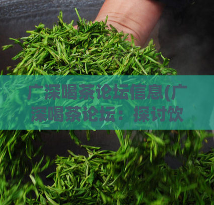 广深喝茶论坛信息(广深喝茶论坛：探讨饮茶文化、分享美味好茶)