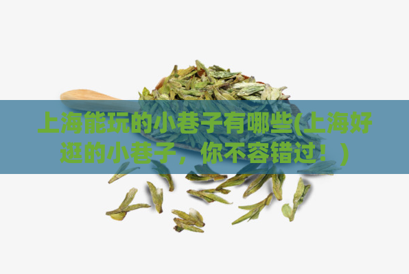上海能玩的小巷子有哪些(上海好逛的小巷子，你不容错过！)