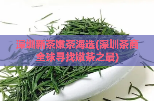 深圳新茶嫩茶海选(深圳茶商全球寻找嫩茶之最)