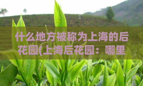 什么地方被称为上海的后花园(上海后花园:哪里是这座城市的最佳绿洲)