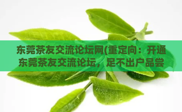 东莞茶友交流论坛网(重定向：开通东莞茶友交流论坛，足不出户品尝名茶。)