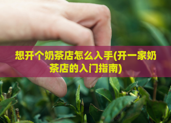 想开个奶茶店怎么入手(开一家奶茶店的入门指南)